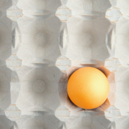 Rafturile magazinelor din România, goale de ouă cu trei săptămâni înainte de sărbători