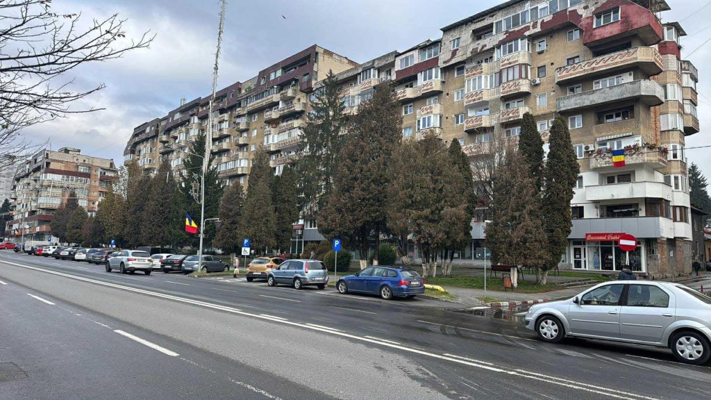 Câine de talie mare căzut de la etaj, salvat în Petroșani