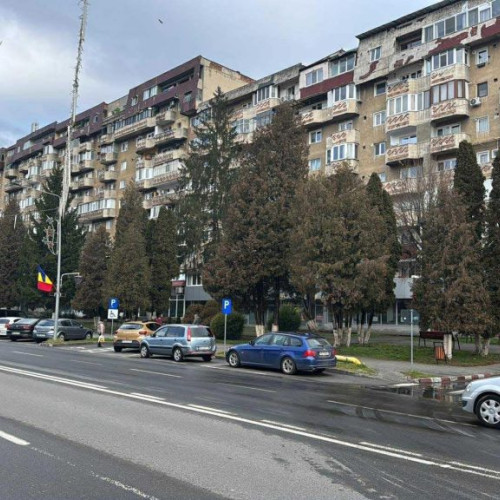 Câine de talie mare căzut de la etaj, salvat în Petroșani