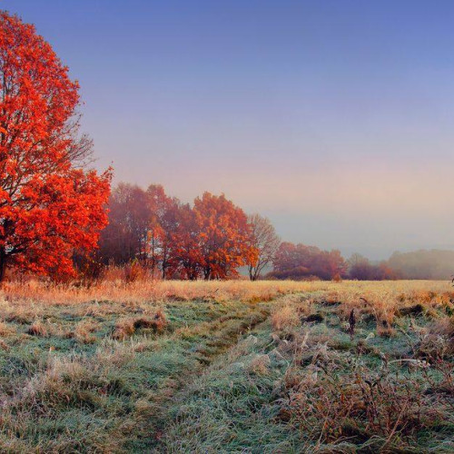 Iarna începe cu temperaturi mai ridicate decât normalul în Dâmbovița