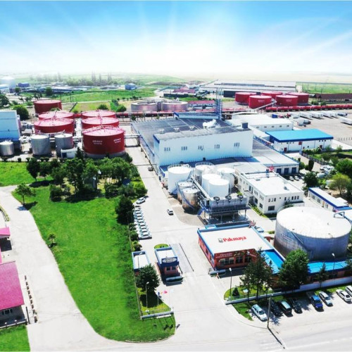 RomPak Pașcani raportează profit de peste 50 milioane lei pentru al doilea an consecutiv