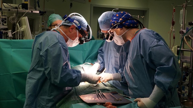 84 de donatori și aproape 300 de transplanturi efectuate în 2025 în România