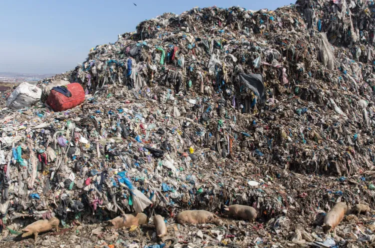 Clujenii se plâng de mirosurile și fumul insuportabil de la fosta rampă Pata Rât