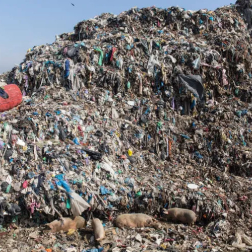 Clujenii se plâng de mirosurile și fumul insuportabil de la fosta rampă Pata Rât