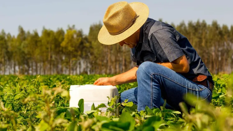 Proiect legislativ pentru pensiile agricultorilor din zonele necooperativizate