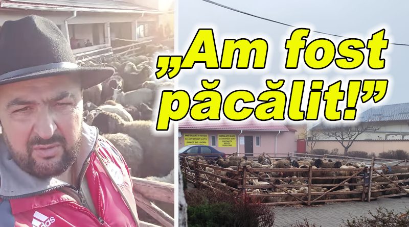 Scandal din nou în curtea primăriei Mărăcineni, provocat de un membru AUR