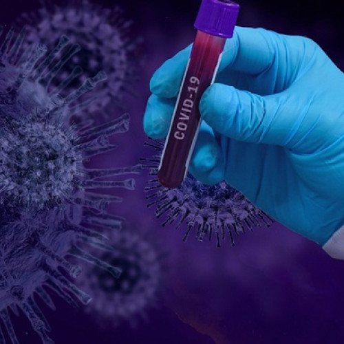 29 de cazuri noi de COVID-19 sunt reinfectări, fără decese săptămâna trecută