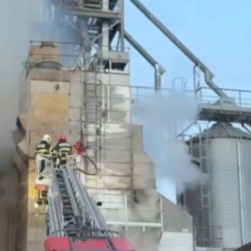 Incendiu puternic la un uscător de cereale din Enisala, Tulcea