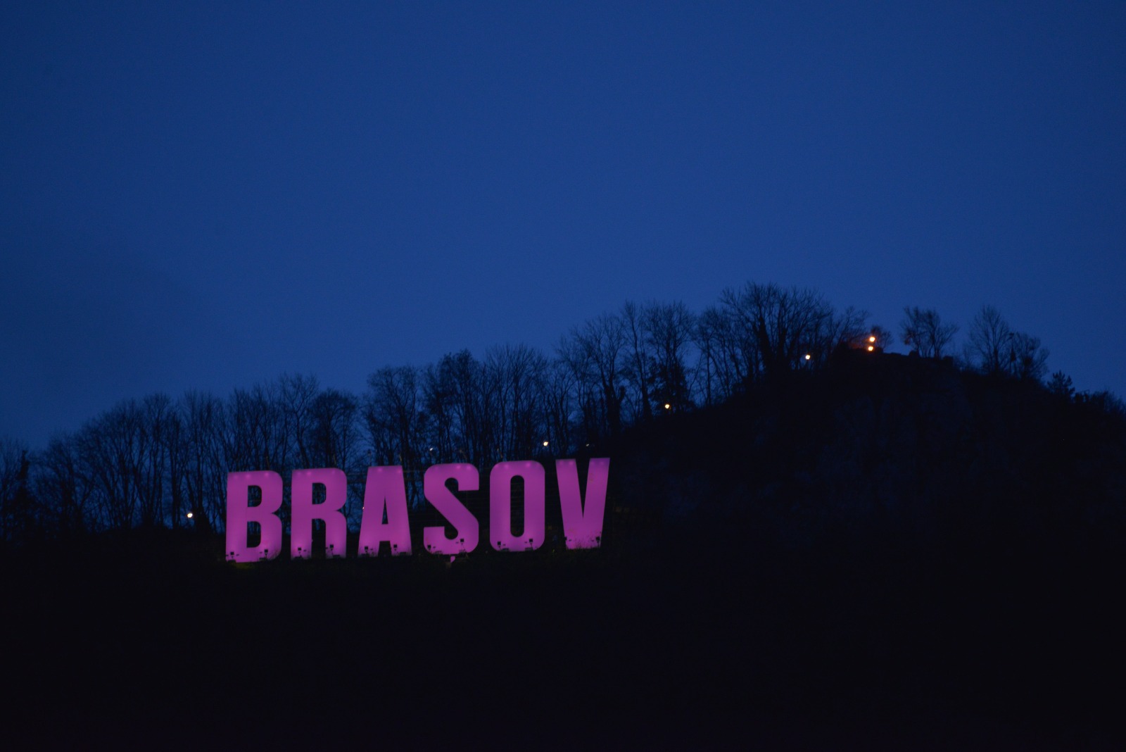 Primăria Brașov va fi iluminată în mov pentru Ziua Persoanelor cu Dizabilități