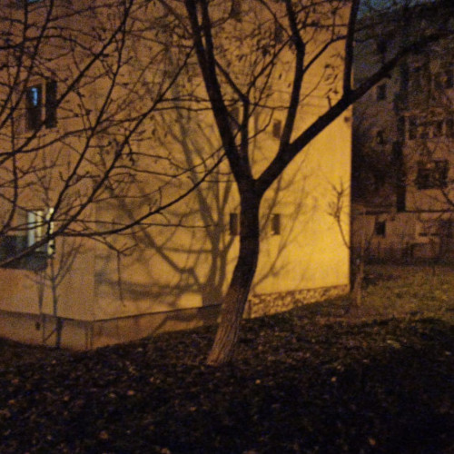 Locatarii unui bloc din Botoșani, revoltați din cauza avariilor la rețelele de apă