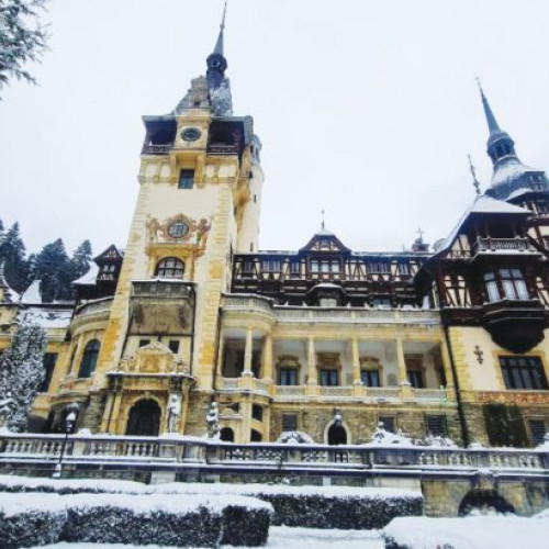 Informații despre N. Dumitrescu în contextul actual