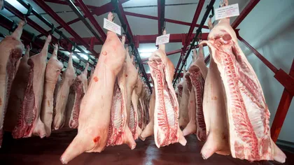 DSVSA Gorj a efectuat peste 200 de controale în județ pentru siguranța alimentelor și protecția animalelor