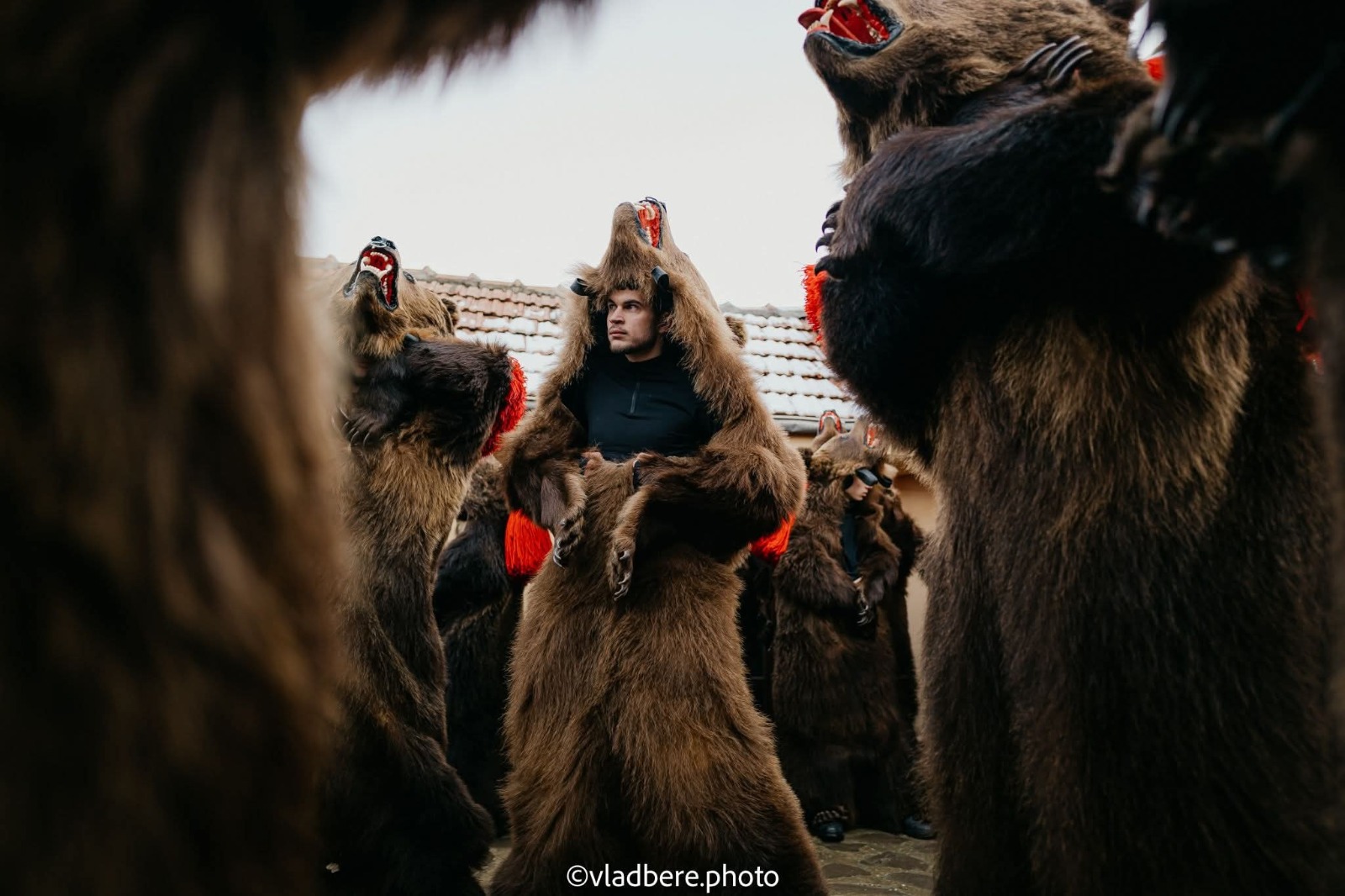 Brașovenii sunt invitați la jocul urșilor în Piața Sfatului pe 6 decembrie