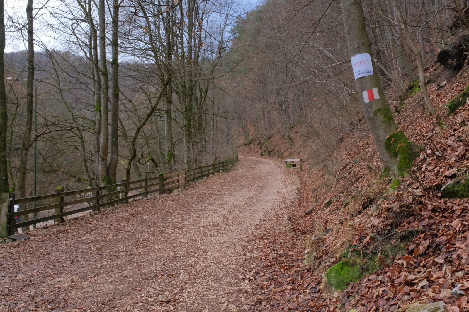 Primăria Brașov folosește aluviunile pentru repararea drumului vechi spre Poiana Brașov