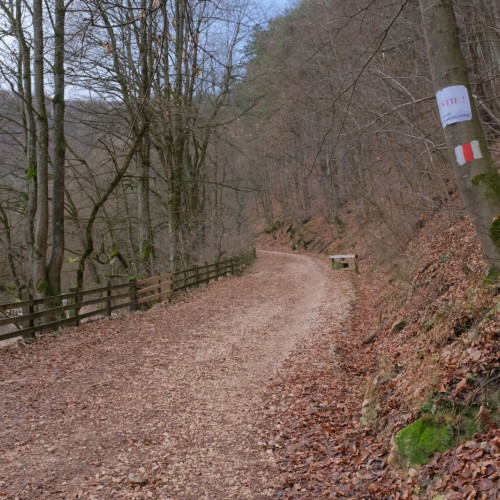 Primăria Brașov folosește aluviunile pentru repararea drumului vechi spre Poiana Brașov