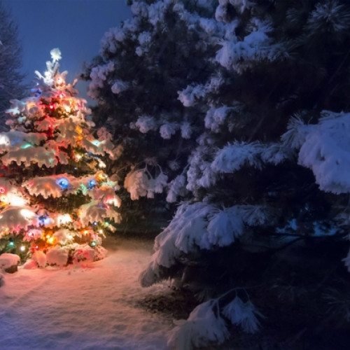 Temperaturi peste medie și precipitații deficitare în toată țara până în ianuarie 2026