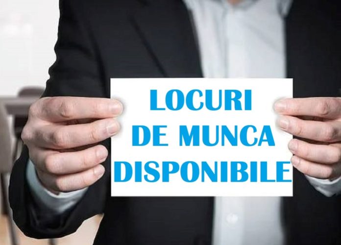 AJOFM Vrancea oferă 495 de locuri de muncă în județ și în țările europene