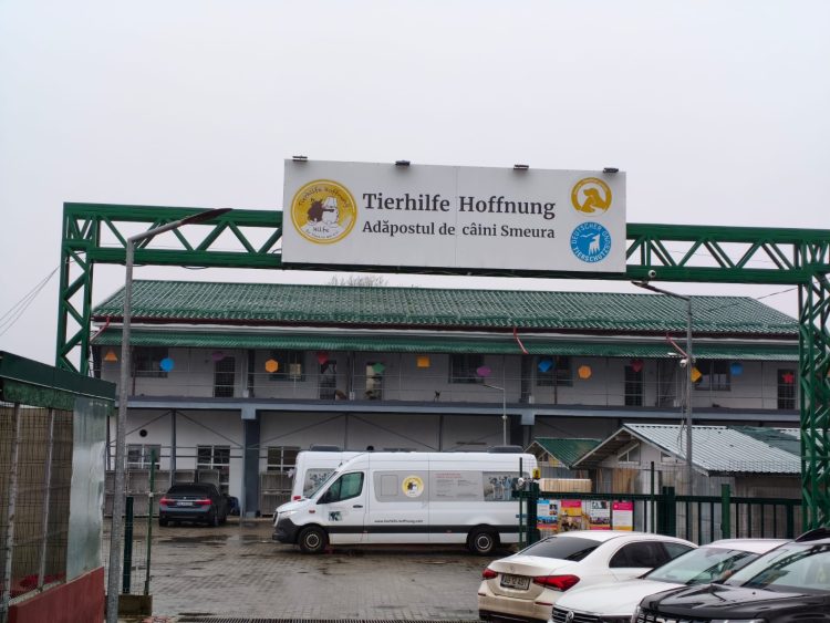 Adăpostul din Smeura, cel mai mare loc de îngrijire a câinilor fără stăpân din lume