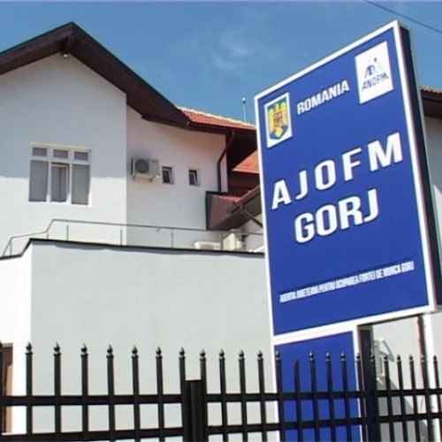AJOFM Gorj oferă trei cursuri gratuite pentru șomeri în decembrie 2025