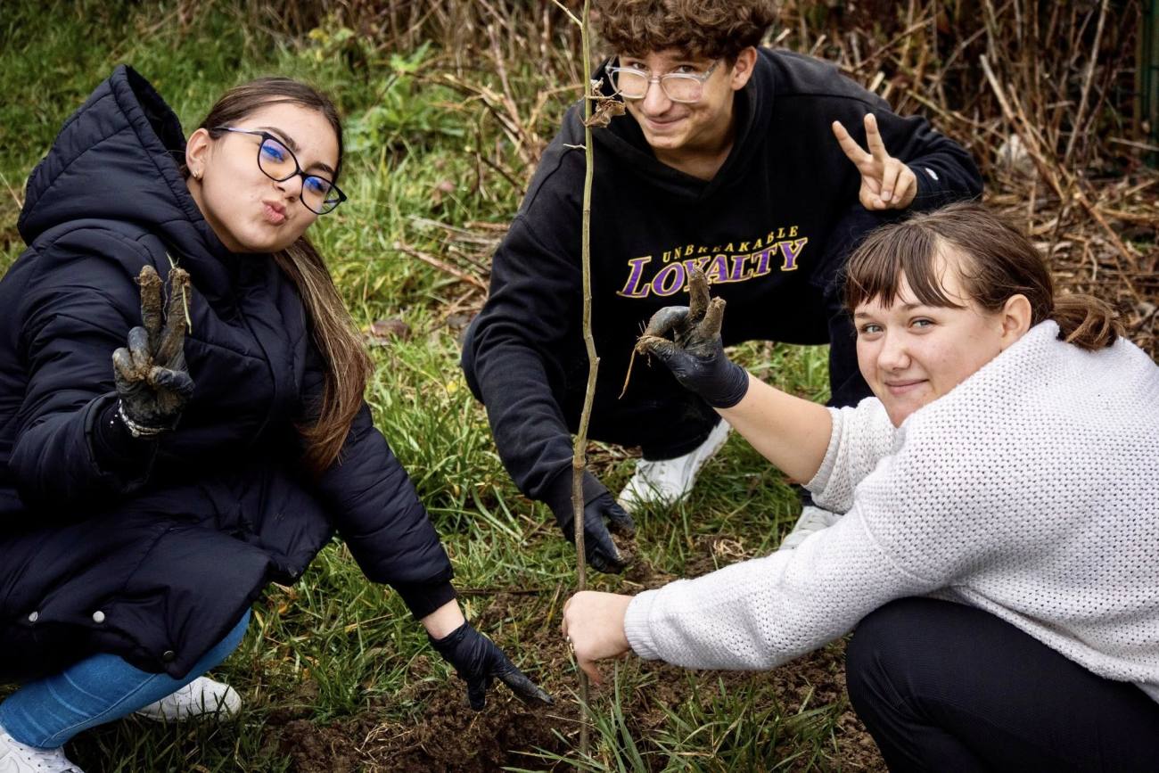 Elevii din Aninoasa au plantat puieți de tei pentru protecția mediului