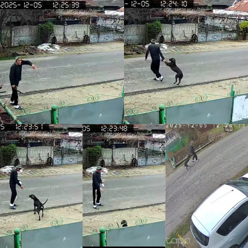 Un bărbat din Telești, Gorj, filmat în timp ce agresează un câine