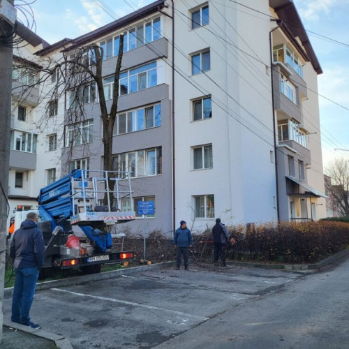 Comisia aprobă reducerea înălțimii teiului la etajul al doilea în perioada de repaus vegetativ