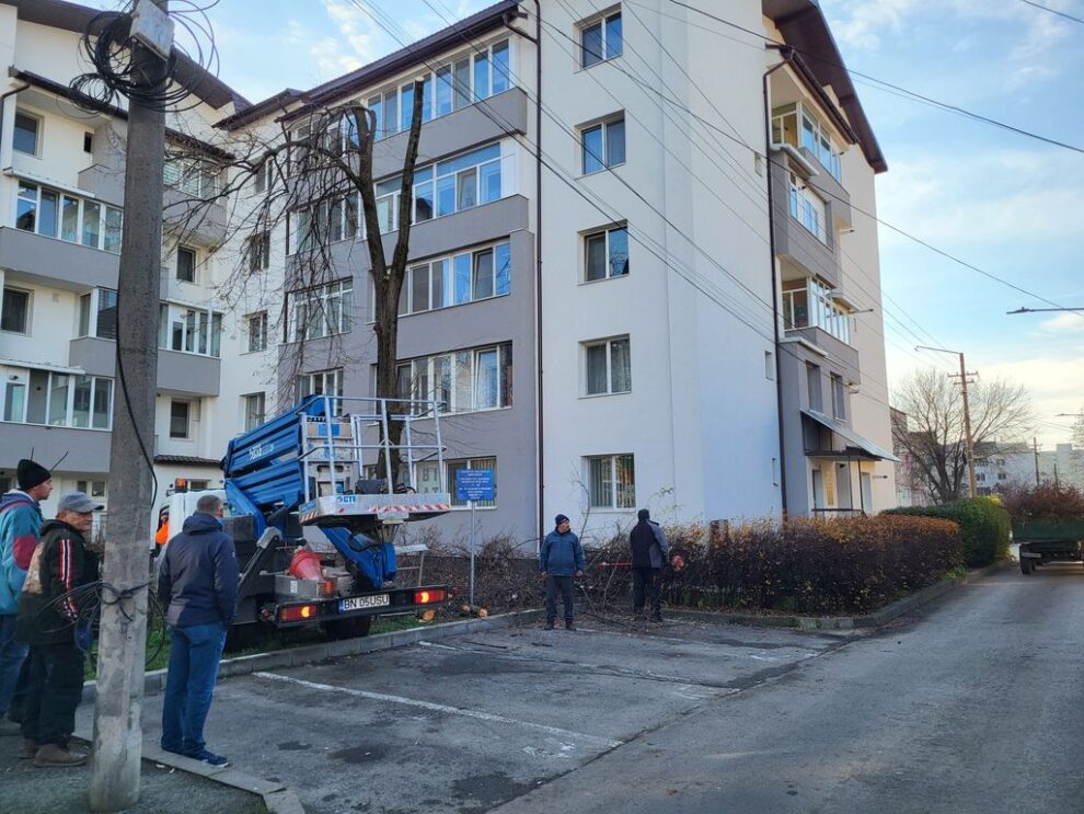 Comisia aprobă reducerea înălțimii teiului la etajul al doilea în perioada de repaus vegetativ