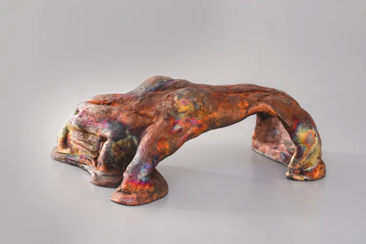 Expoziția „Unduire” la Muzeul de Artă Cluj-Napoca, între 10 decembrie și 4 ianuarie