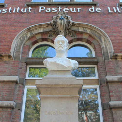 Virusul gripei aviare poate declanșa o pandemie mai gravă decât COVID-19, avertizează experții