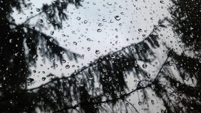 Decembrie cu temperaturi neobișnuit de ridicate în toată țara până spre 21