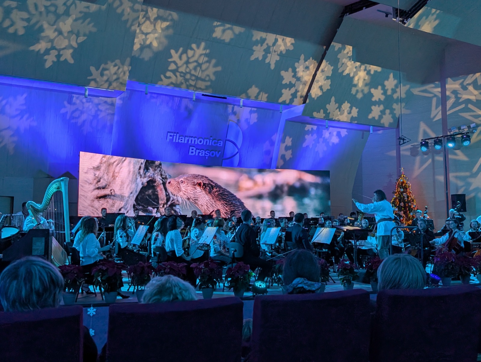 Fundația Kronospan dublează fondurile pentru noul spital HOSPICE din Brașov