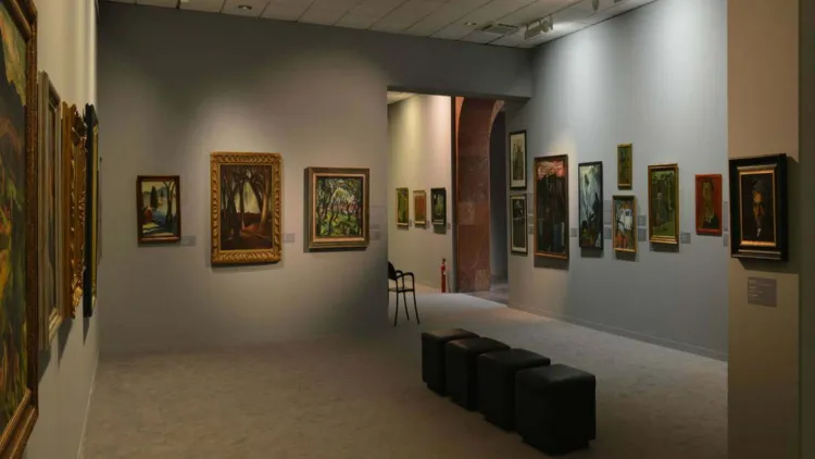 Salonul anual de artă 2025 debutează la Muzeul de Artă Cluj-Napoca