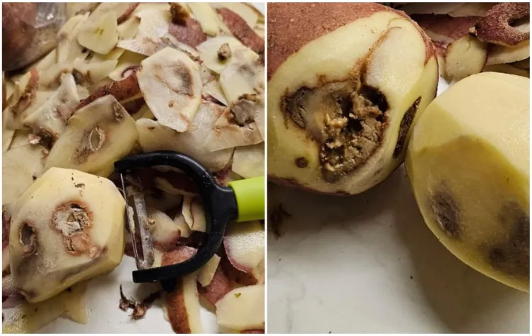 Un clujean revoltat după ce a cumpărat cartofi „românești” stricați dintr-un supermarket