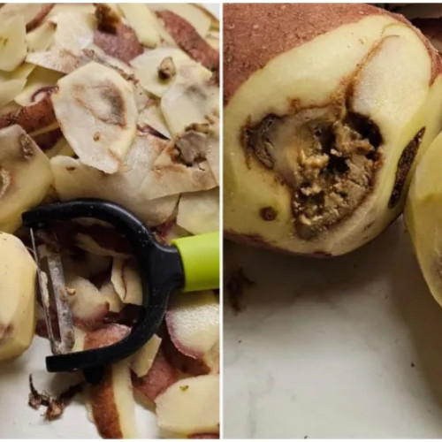 Un clujean revoltat după ce a cumpărat cartofi „românești” stricați dintr-un supermarket