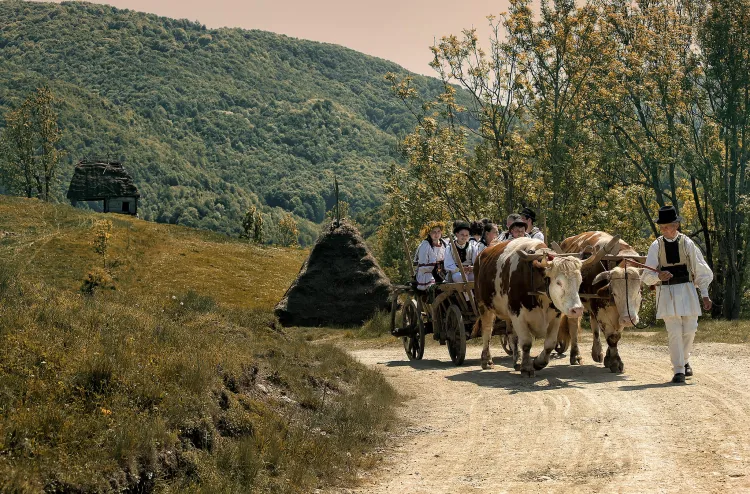 Ziua fotografiei românești, sărbătorită prin protejarea culturii rurale la Cluj