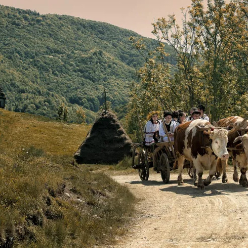 Ziua fotografiei românești, sărbătorită prin protejarea culturii rurale la Cluj