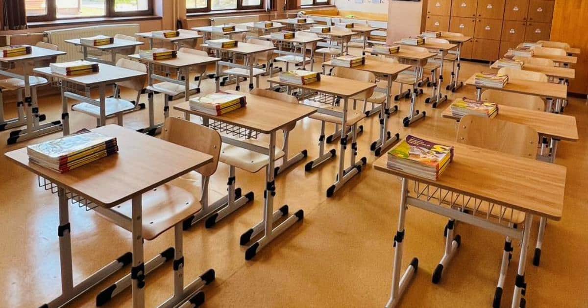 Școlile cu elevi cu cerințe educaționale speciale vor fi controlate până în aprilie 2026