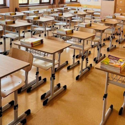 Școlile cu elevi cu cerințe educaționale speciale vor fi controlate până în aprilie 2026