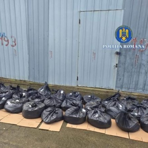 Percheziții în Ilfov și Călărași pentru comercializarea ilegală de tutun neaccizat