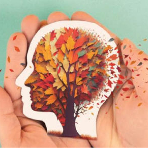 Scăderea imunității la persoanele peste 65 de ani crește riscul de infecții și decese