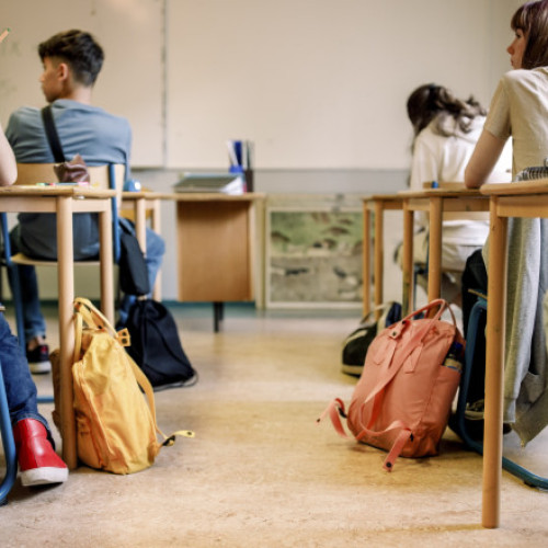 Programul Future Leaders Exchange oferă burse în SUA pentru liceeni români în 2026-2027