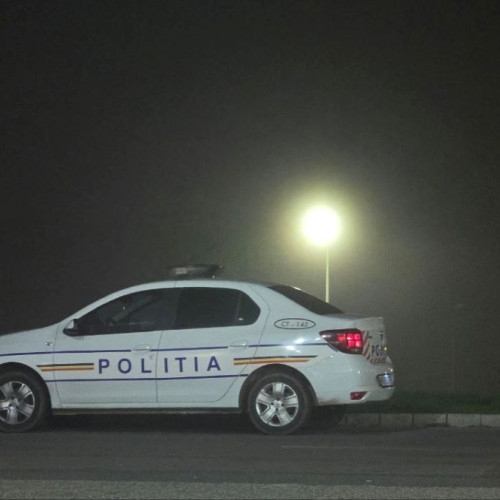 Poliția investighează deșeurile căzute pe autostrada A2, în zona Bărăganu