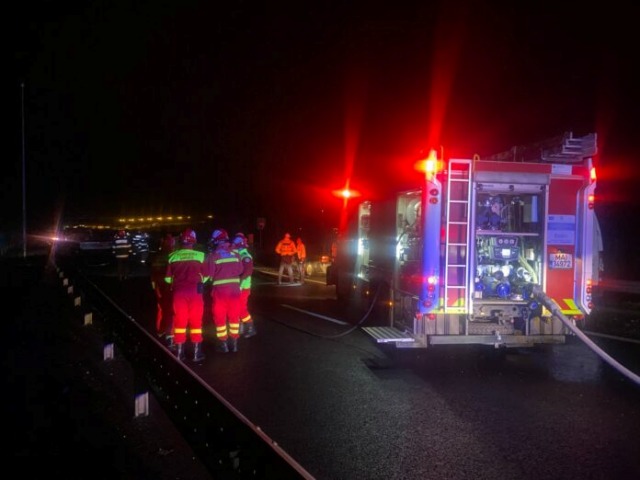 Resturi de animale au fost împrăștiate pe autostrada A2 între kilometrii 160 și 192