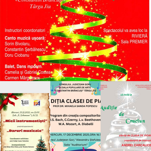 Școala Populară de Arte din Târgu Jiu organizează o serie de evenimente culturale în decembrie