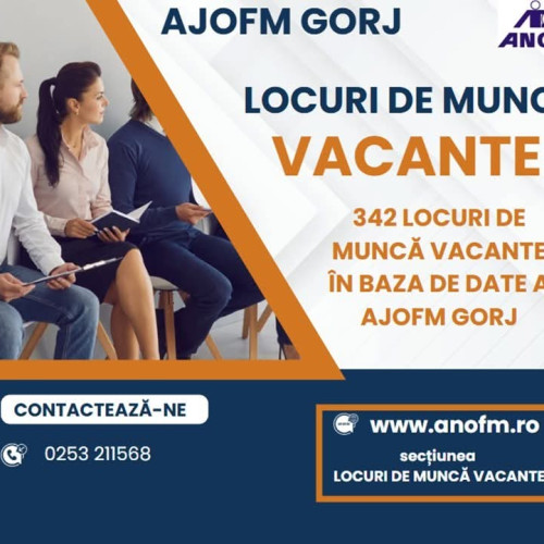 AJOFM Gorj oferă 342 de posturi vacante pentru diverse meserii în 2025