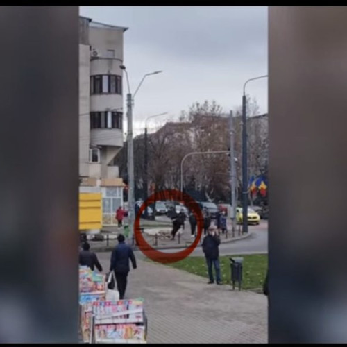 Porc evadat din piața din Vaslui provoacă haos și urmărire amuzantă