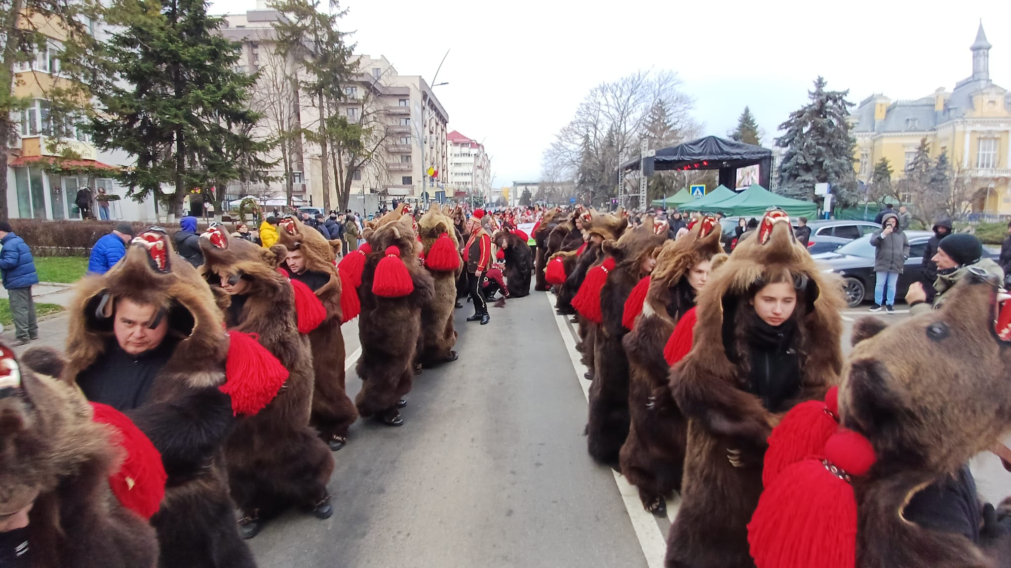 Urșii de la Comănești vor anima festivalul tradițiilor de iarnă din Ungureni, Botoșani