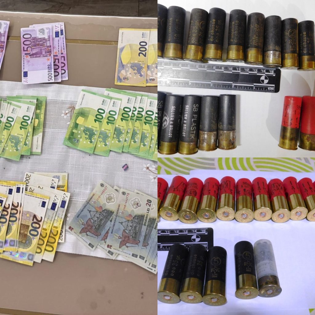 Percheziții în Gorj pentru tăieri ilegale de arbori și deținere ilegală de muniție