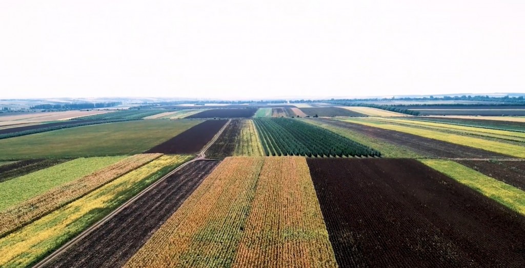 Clarificări privind diferențele dintre suprafețele agricole raportate de INS și APIA