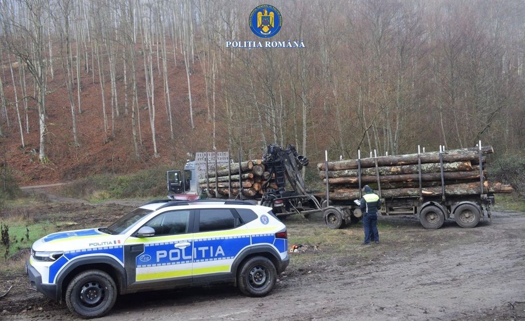 Polițiștii arădeni au confiscat peste 216 metri cubi de lemn în zece zile